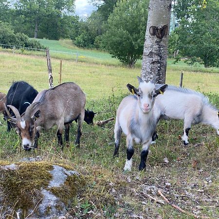 Affittacamere Haeradssaetter Gard 1 Valdemarsvik Esterno foto