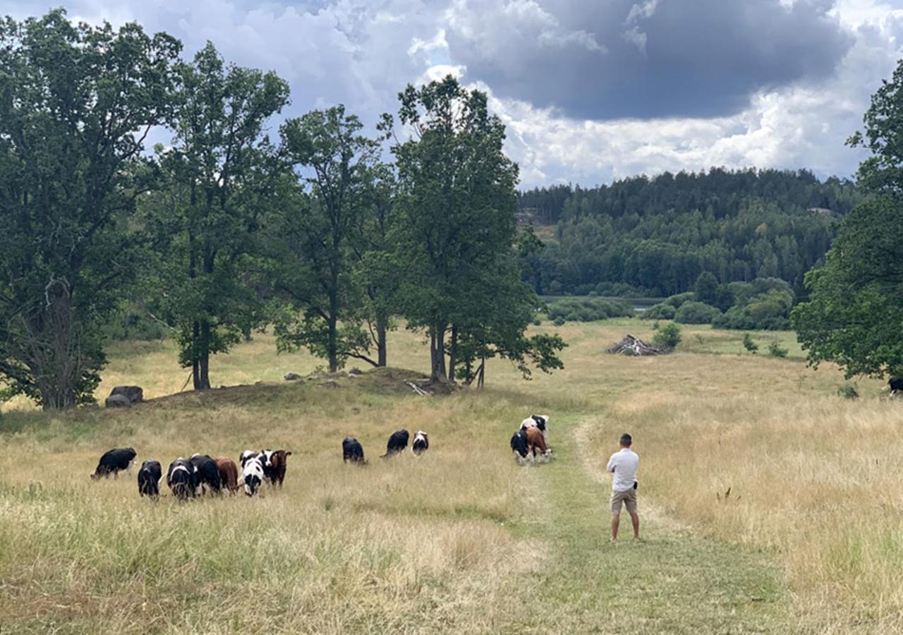 Affittacamere Haeradssaetter Gard 1 Valdemarsvik Esterno foto