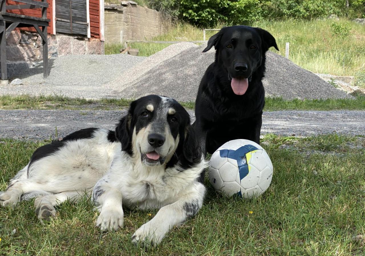 Affittacamere Haeradssaetter Gard 1 Valdemarsvik Esterno foto