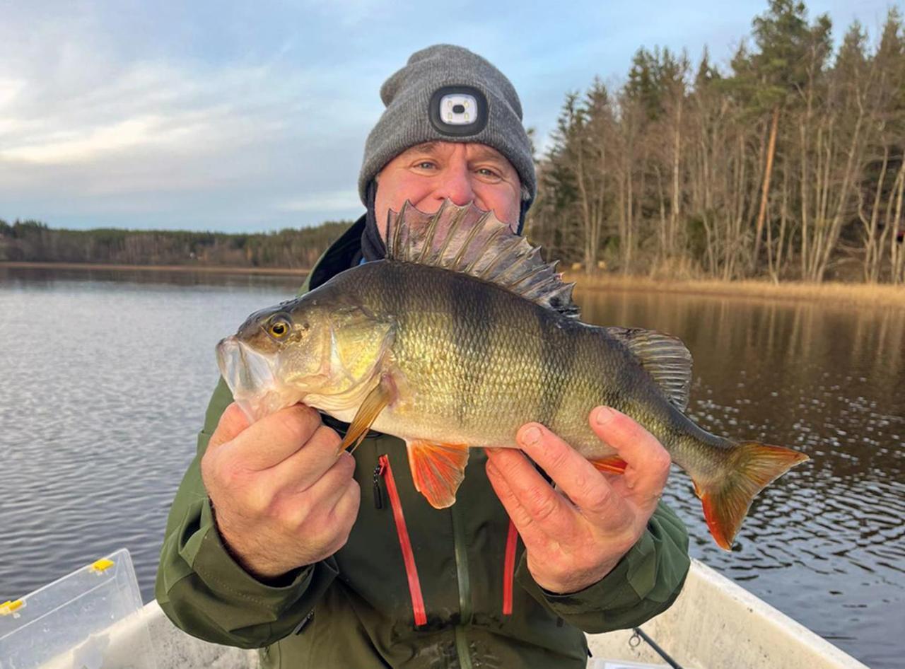 Affittacamere Haeradssaetter Gard 1 Valdemarsvik Esterno foto