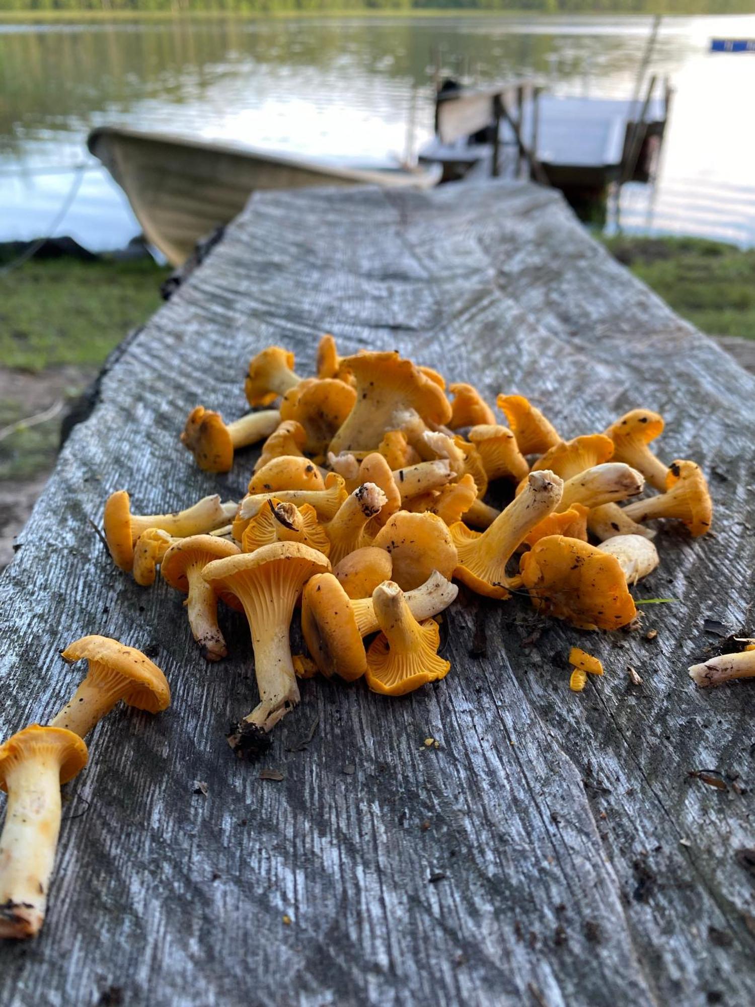 Affittacamere Haeradssaetter Gard 1 Valdemarsvik Esterno foto